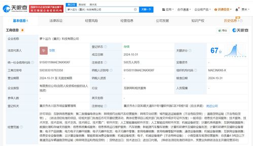 蘿卜快跑重慶新公司成立，注冊資本500萬元布局基礎軟件服務